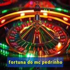 fortuna do mc pedrinho