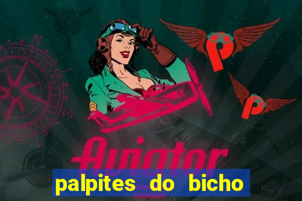 palpites do bicho no celular