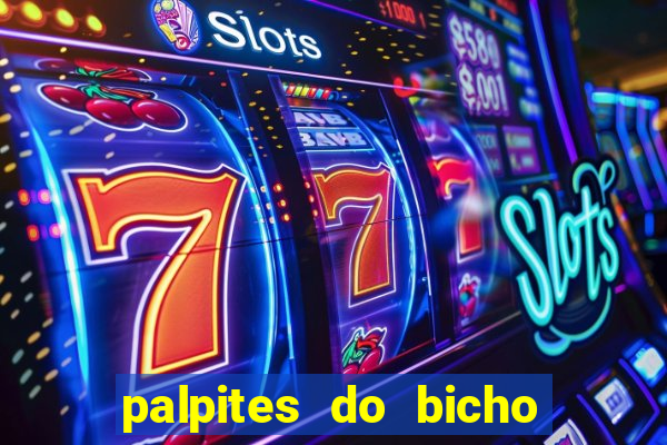 palpites do bicho no celular