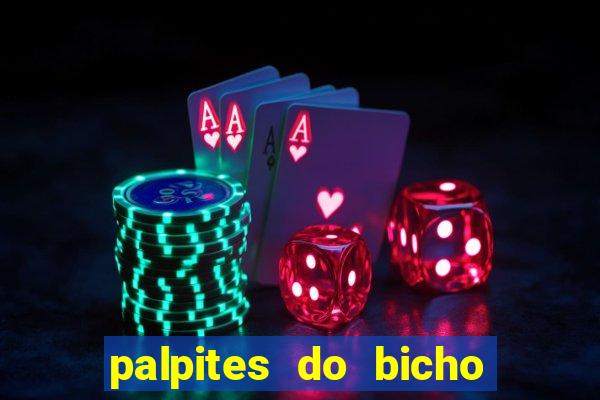 palpites do bicho no celular