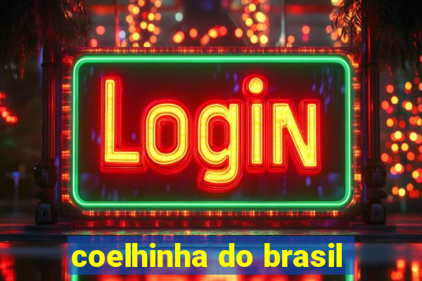 coelhinha do brasil