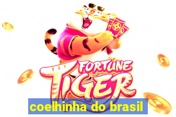 coelhinha do brasil