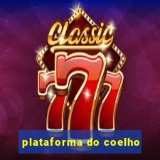 plataforma do coelho