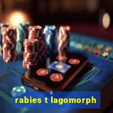 rabies t lagomorph