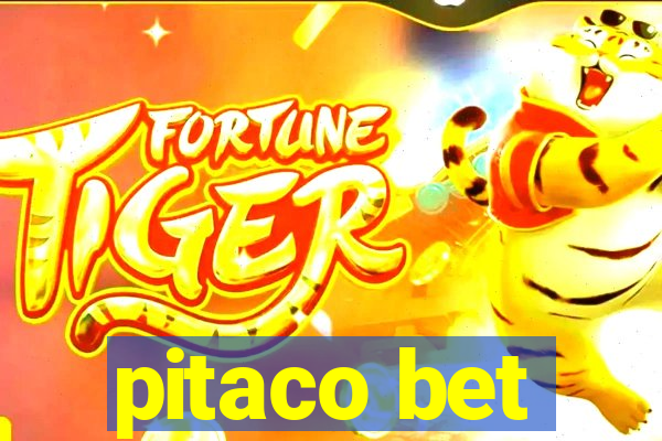 pitaco bet