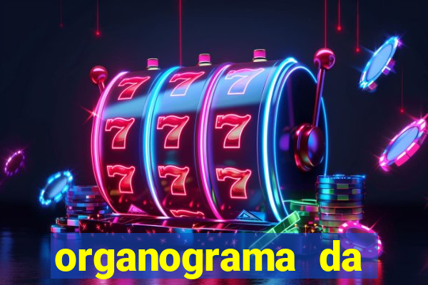 organograma da cacau show