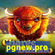 pgnew.pro