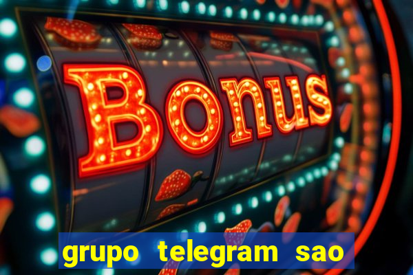 grupo telegram sao jose do rio preto