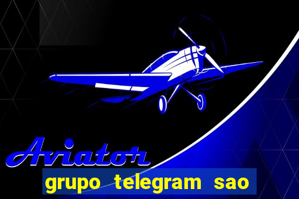 grupo telegram sao jose do rio preto