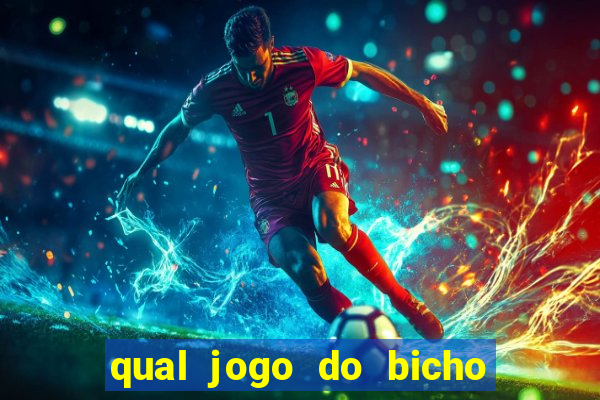 qual jogo do bicho paga mais