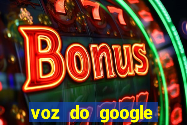 voz do google tradutor homem