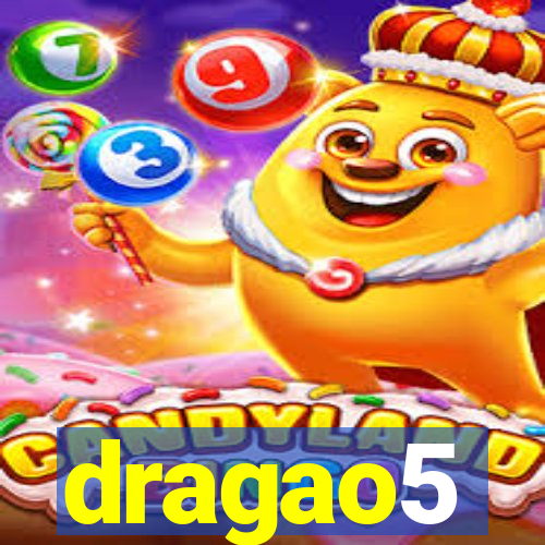 dragao5