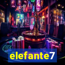 elefante7