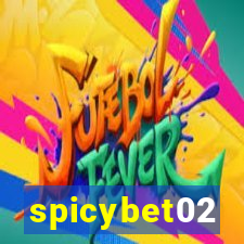 spicybet02