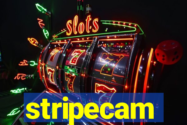 stripecam