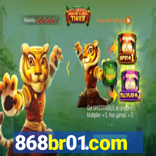 868br01.com