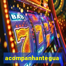 acompanhanteguanambi