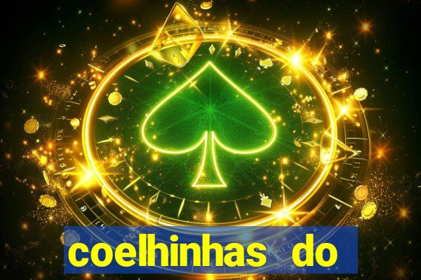 coelhinhas do brasil acompanhantes