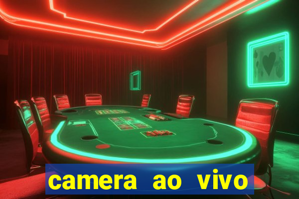 camera ao vivo terminal vila nova cachoeirinha