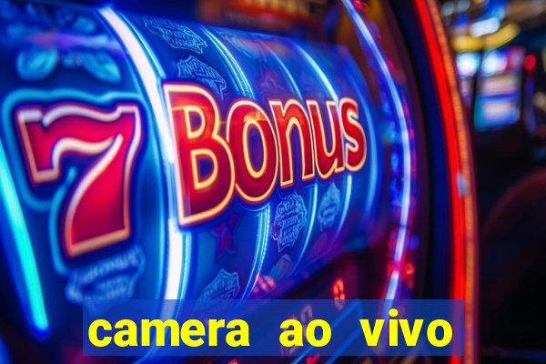 camera ao vivo terminal vila nova cachoeirinha