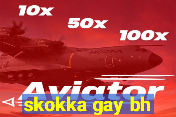 skokka gay bh