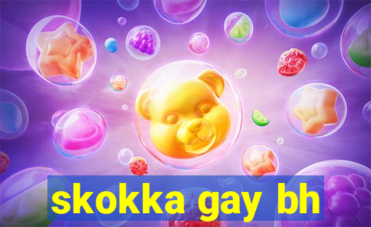 skokka gay bh