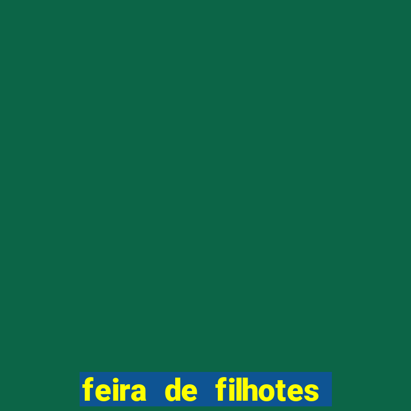 feira de filhotes porto alegre