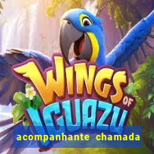 acompanhante chamada de video