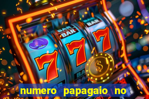 numero papagaio no jogo do bicho