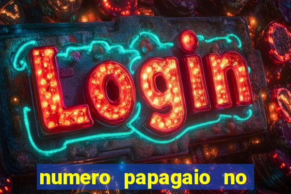 numero papagaio no jogo do bicho