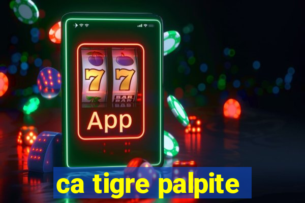 ca tigre palpite