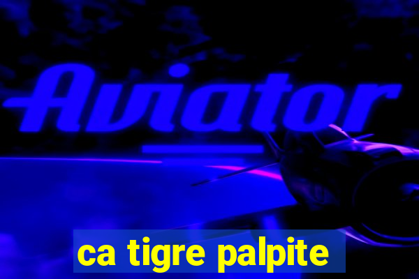 ca tigre palpite