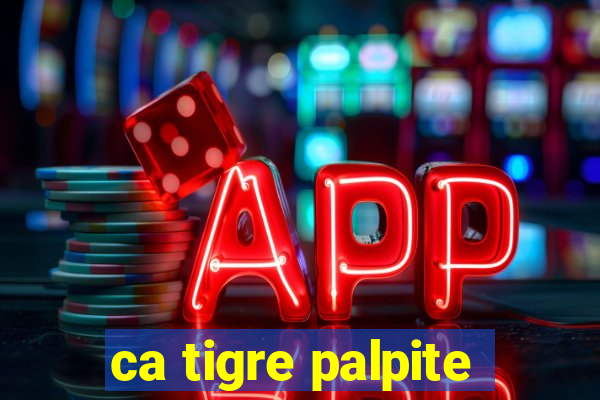 ca tigre palpite