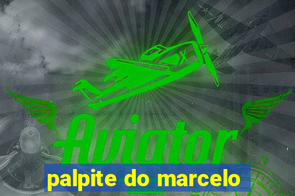 palpite do marcelo