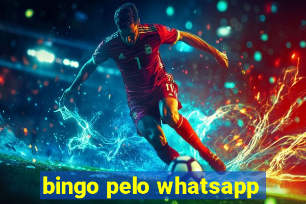 bingo pelo whatsapp