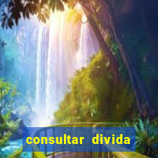 consultar divida casas bahia