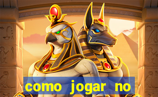 como jogar no arara trade