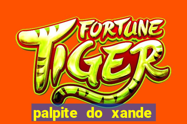 palpite do xande para hoje