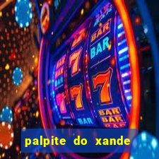 palpite do xande para hoje