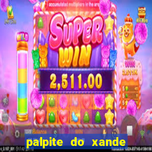 palpite do xande para hoje