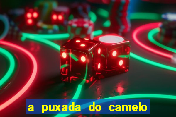 a puxada do camelo no jogo do bicho