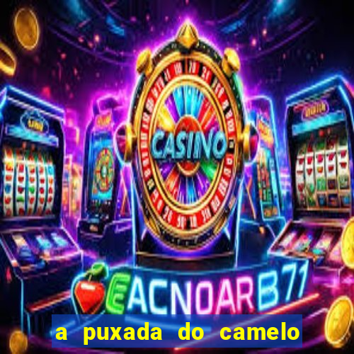 a puxada do camelo no jogo do bicho