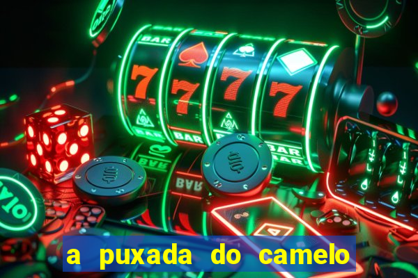 a puxada do camelo no jogo do bicho