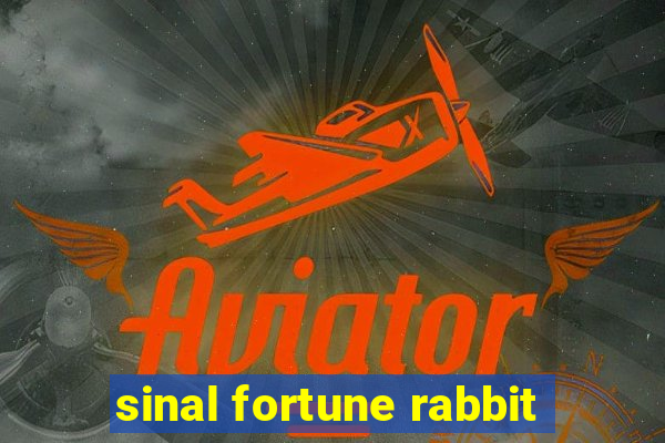 sinal fortune rabbit