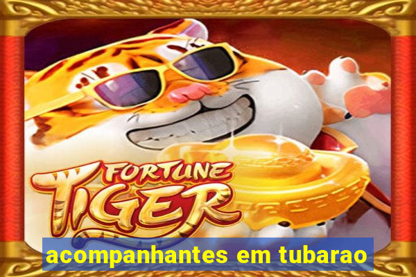 acompanhantes em tubarao