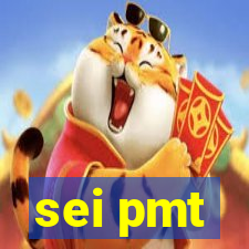 sei pmt