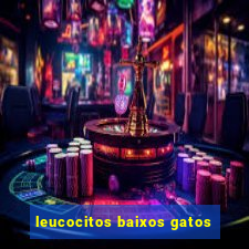 leucocitos baixos gatos