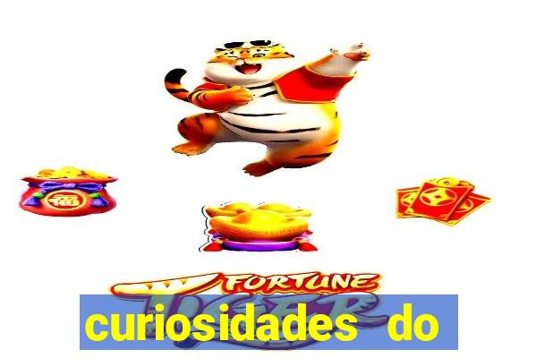 curiosidades do egito atual