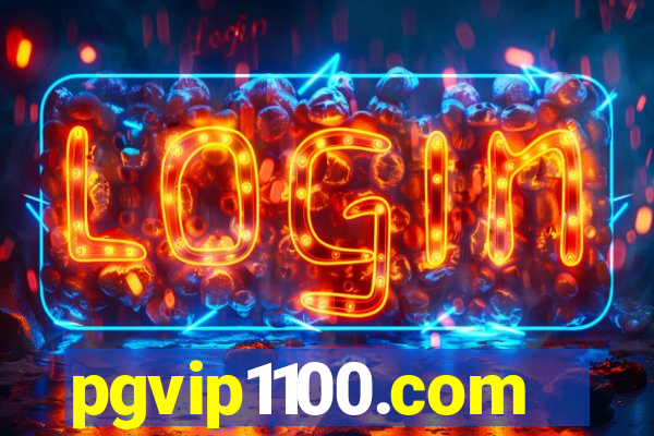 pgvip1100.com