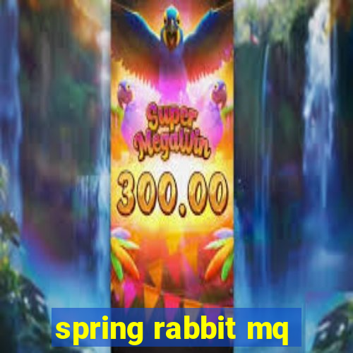 spring rabbit mq